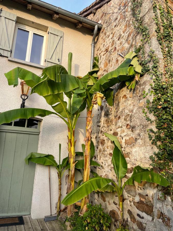 Maison Hirondelles Gites Mezieres-sur-Issoire Eksteriør bilde